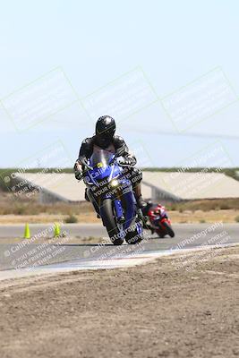 media/Aug-03-2025-TrackDaz (Sun) [[bf4a71acf9]]/C Group/1240pm (Wheelie Bump)/